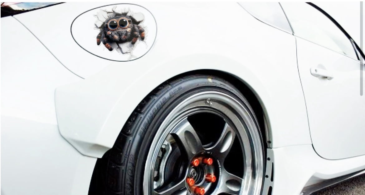 Spider 3D Wall Cracker Unique  – Laptop Unique Accessories Bewertung und Preis