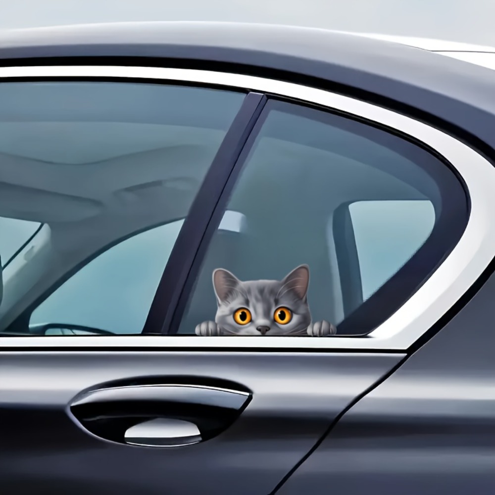 A Small Gray Cat Cute Car Lapt – Laptop Unique Accessories Bewertung und Preis